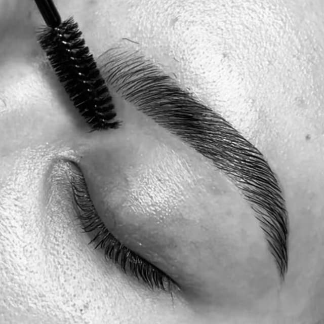 The Brow Babe Pass at FRESH SKIN BY FRANCESCA in Baltimore, MD